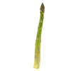 Аспарагус (Asparagus)